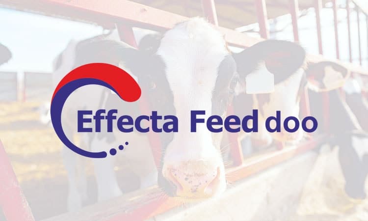 featured placeholder cow Uvoz i distribucija bioloških aditiva za ishranu stoke